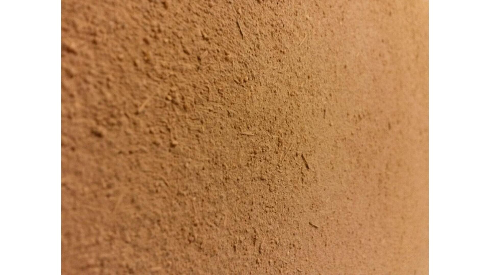 Close-up view of a textured, light brown surface, possibly a wall or a piece of cardboard, with small fibers and uneven details visible throughout.