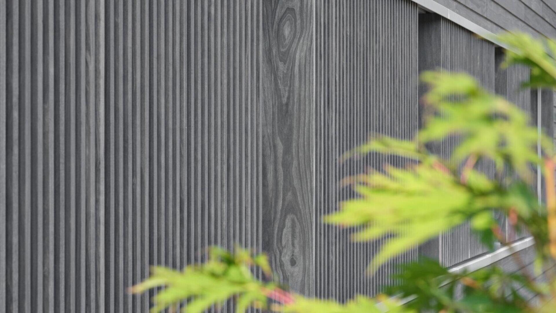 Close-up of a modern gray building facade with vertical wooden slats, partially obscured by green leaves in the foreground.