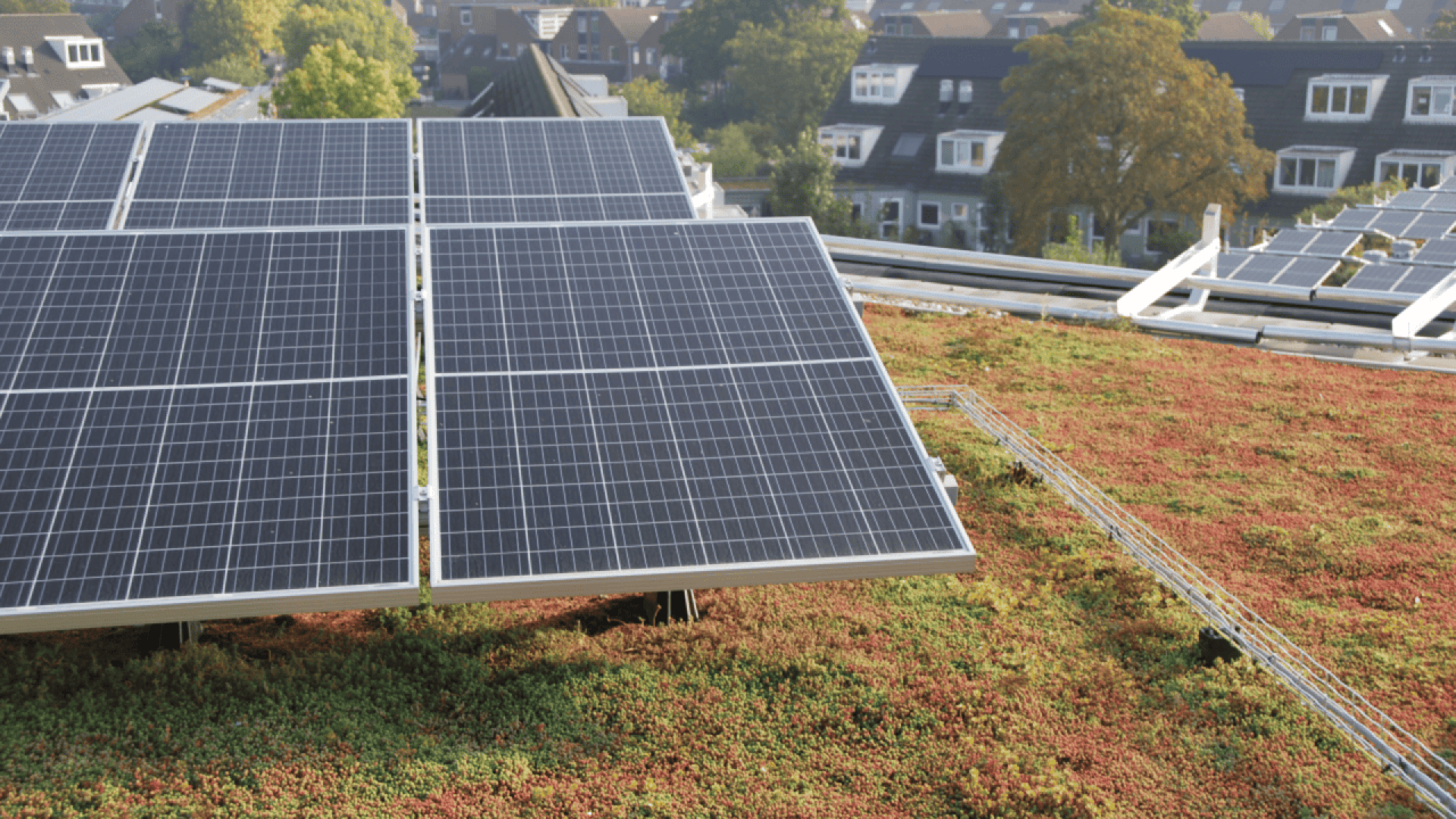 Solar panels installed on a green rooftop with vegetation, overlooking a residential neighborhood with houses and trees in the background.
