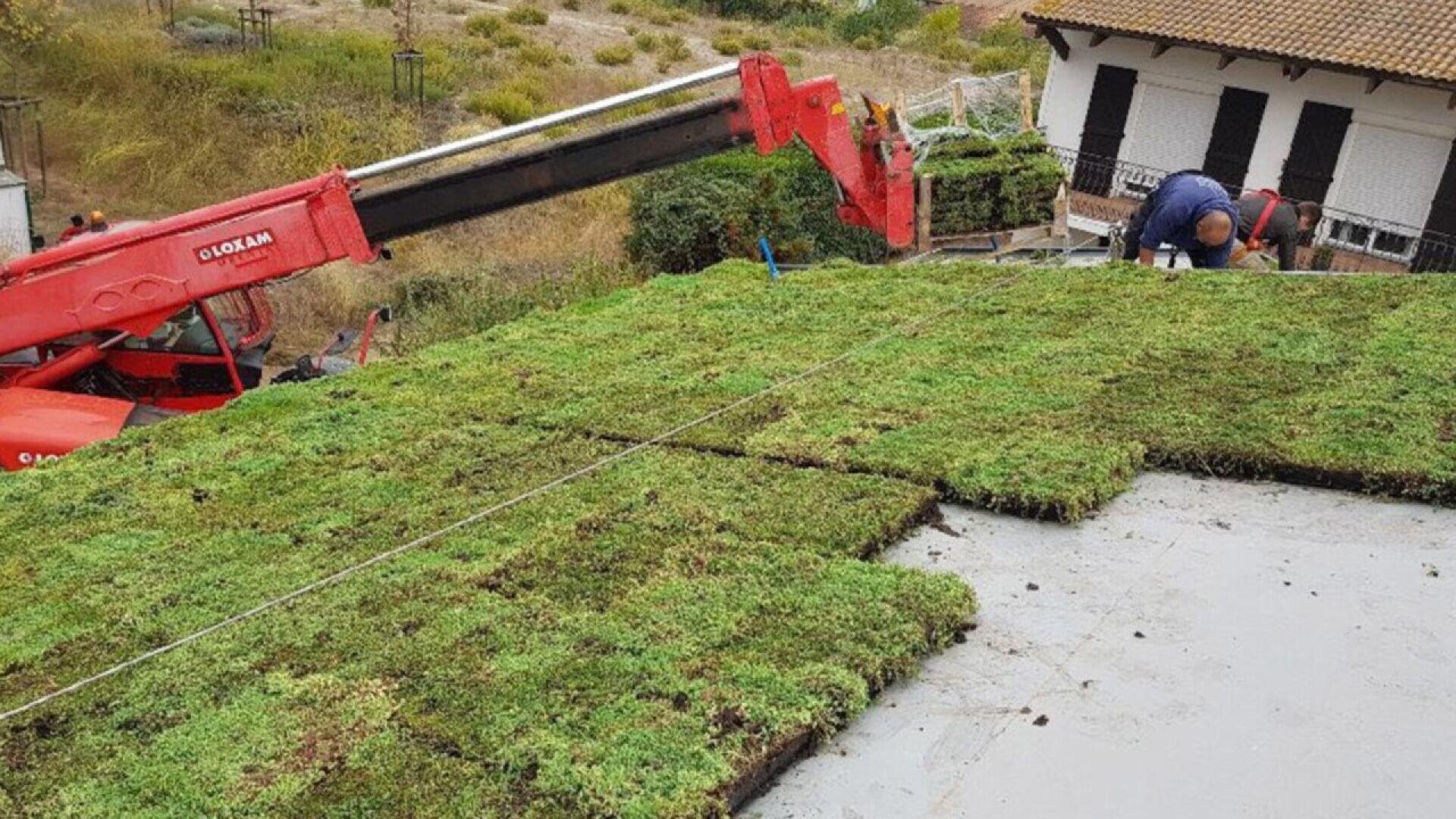 A person installs sections of green roof panels with plants on a flat rooftop using a red crane. A house with white walls and a brown roof is in the background.