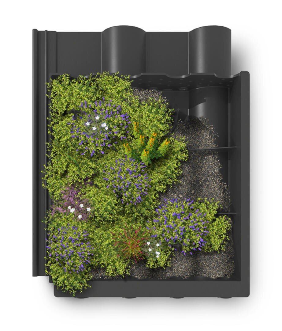Ein schwarzer, segmentierter Pflanzkasten in der Draufsicht, der Büschel von grünem Laub und kleine Blüten in Violett, Weiß und Gelb enthält, wobei zwischen den Pflanzen Flecken von kiesiger Erde sichtbar sind.