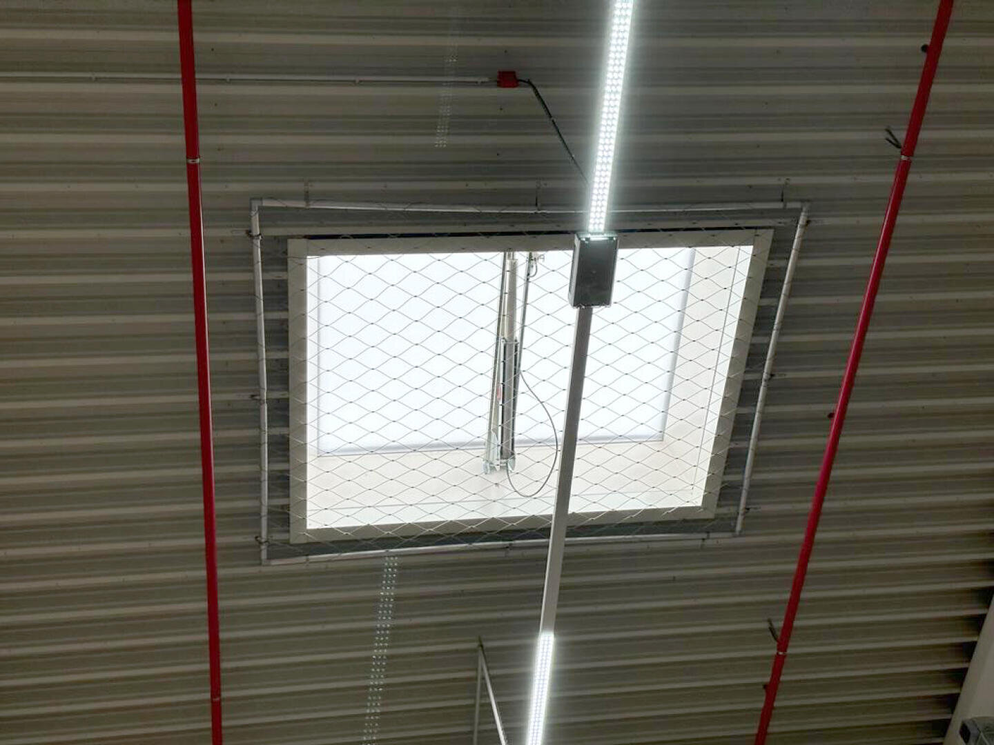 View of a ceiling skylight covered with a metal wire mesh, surrounded by red sprinkler pipes and fluorescent ceiling lights in an industrial or commercial building.
