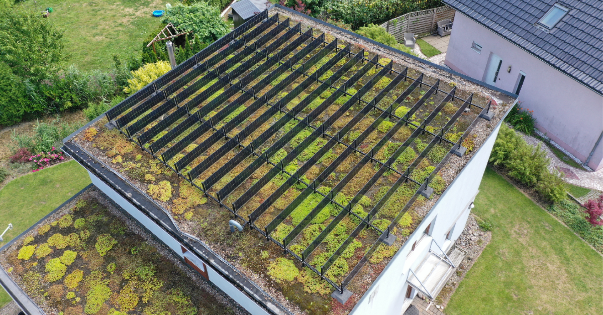 Luftaufnahme eines modernen Flachdachgebäudes mit einem begrünten Dach, das teilweise von einer Metallpergola überdacht ist. Das Dach ist mit Moos und Pflanzen bewachsen, umgeben von Rasenflächen und benachbarten Häusern.