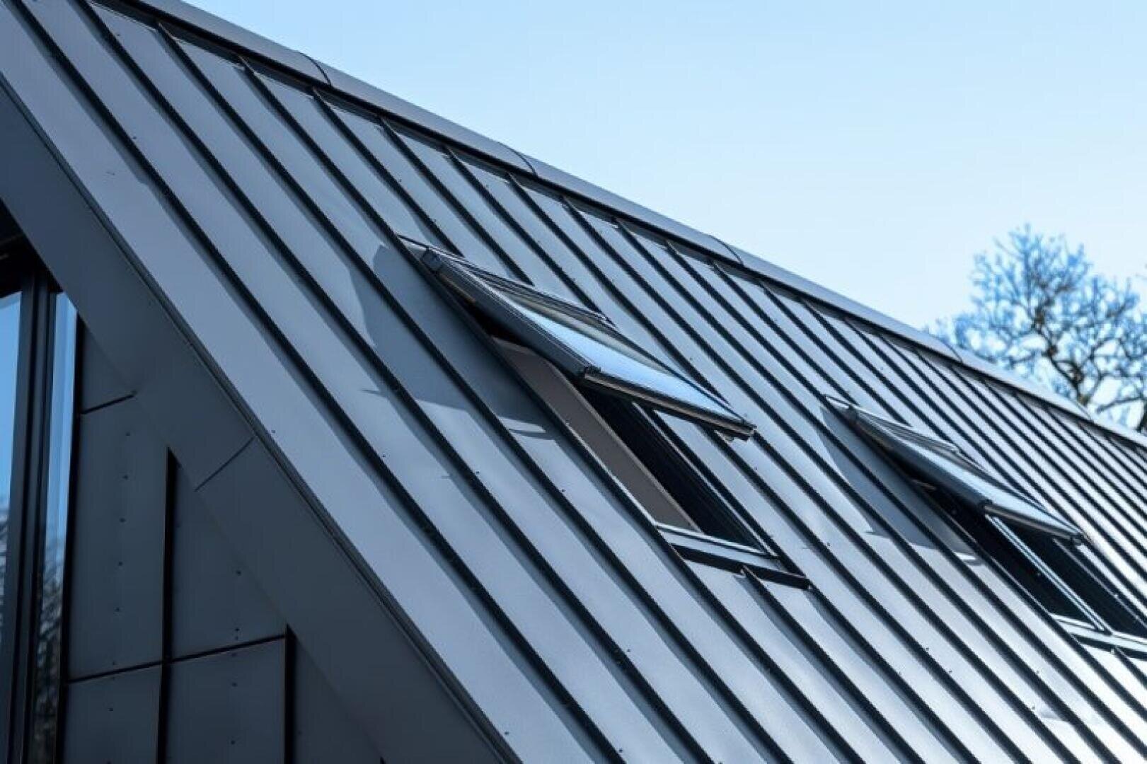 A modern metal roof with two open skylights reflecting the clear blue sky on a sloping structure. A bare tree branch can be seen in the background.