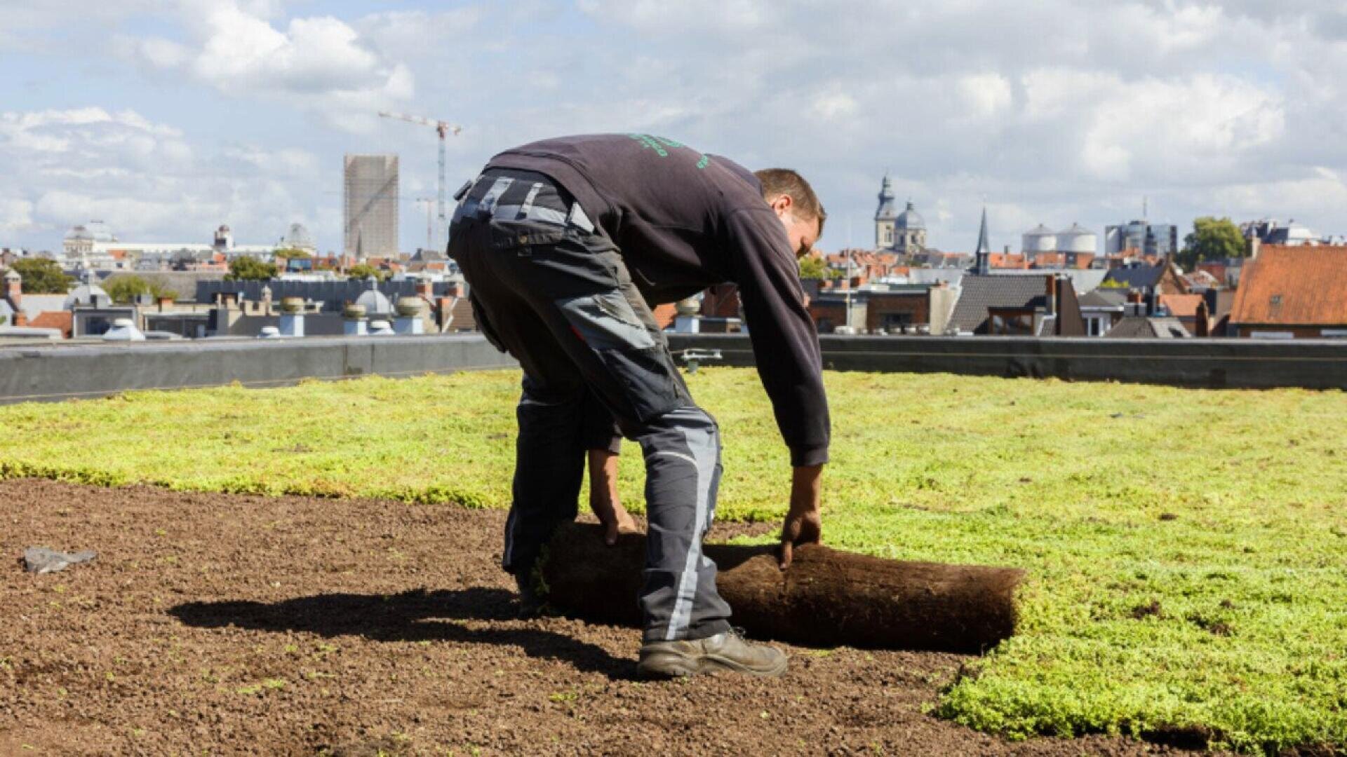A person unrolling sod on a rooftop garden with a city skyline in the background under a partly cloudy sky.