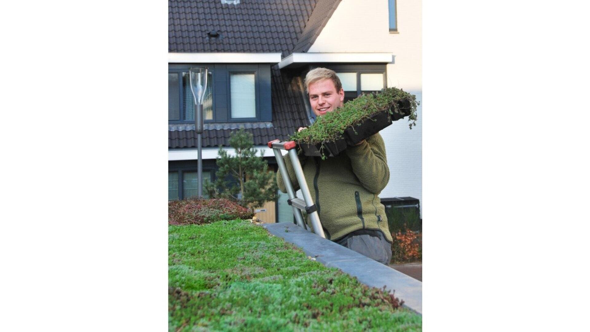 A person with short blond hair, wearing a green jacket, stands on a ladder by a house, carrying a tray of green plants, possibly for a rooftop garden installation.