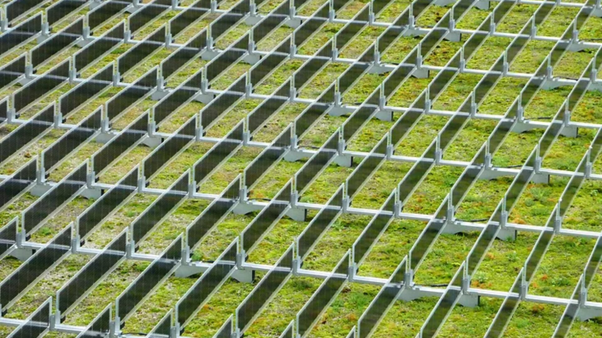 Metallgitterplatten diagonal angeordnet. Die Zwischenräume sind mit grünem Moos oder Gras gefüllt, wodurch ein geometrisches Design entsteht, das industrielle und natürliche Elemente vereint.