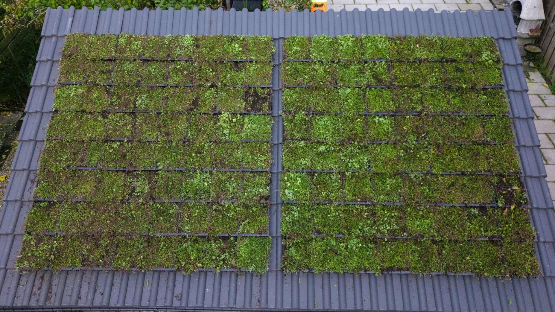 Luftaufnahme eines grauen Ziegeldachs mit zwei großen rechteckigen Abschnitten, die mit grüner Vegetation bedeckt sind und ein lebendiges grünes Dach inmitten der regelmäßigen Ziegel bilden.