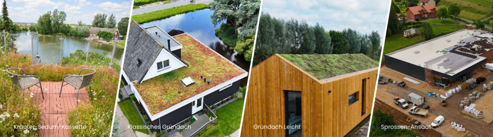 Vier Tafeln zeigen verschiedene Gründächer: eine Seeterrasse mit einem Moosdach, ein traditionelles Haus mit einem bepflanzten Dach, ein Holzgebäude mit einem Grasdach und ein Industriegelände mit einem großen Gründach.